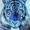 Blue Tiger Animal Paint By Numbers