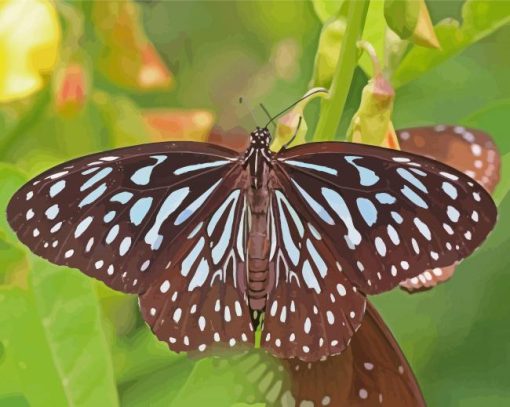 Blue Tiger Butterfly Insect Paint By Numbers