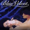 Blue Velvet Movie Poster Paint By Numbers