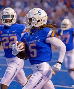 Boise State Broncos Footballers Paint By Numbers