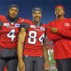 Calgary Stampeders Canadian Team Paint By Numbers