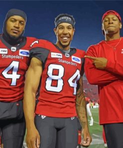 Calgary Stampeders Canadian Team Paint By Numbers