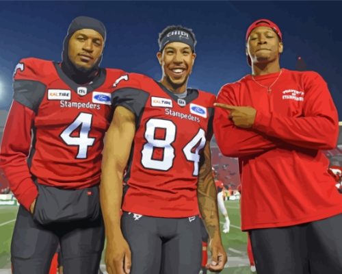 Calgary Stampeders Canadian Team Paint By Numbers