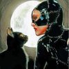 Cat And Catwoman Paint By Numbers