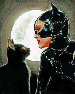 Cat And Catwoman Paint By Numbers