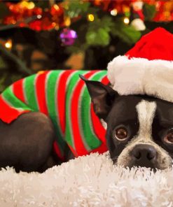 Christmas Boston Terrier Paint By Numbers