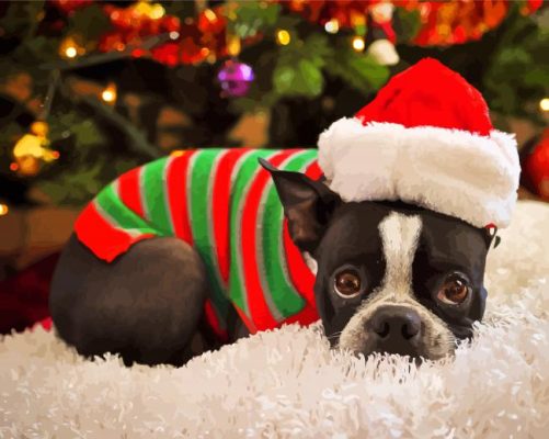 Christmas Boston Terrier Paint By Numbers