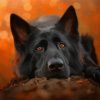 Cute Black German Shepherd Dog Animal Paint By Numbers