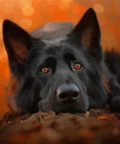 Cute Black German Shepherd Dog Animal Paint By Numbers