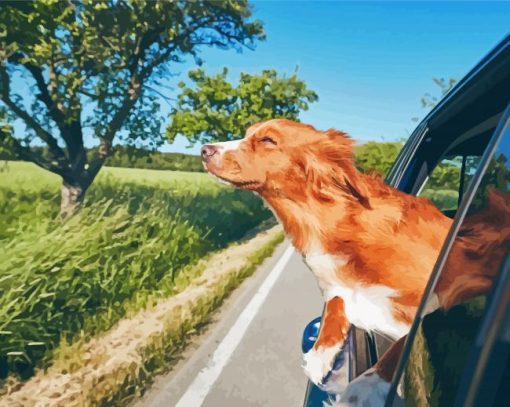 Dog Enjoying His Time In The Car Paint By Numbers