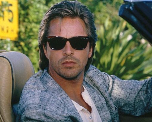 Don Johnson Paint By Numbers