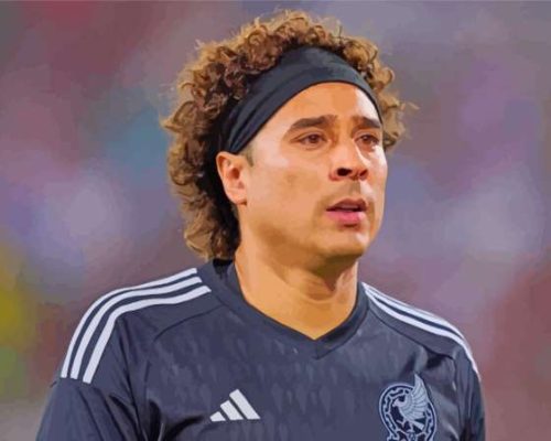 Guillermo Ochoa Paint By Numbers