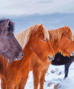 Icelandic Horses Paint By Numbers