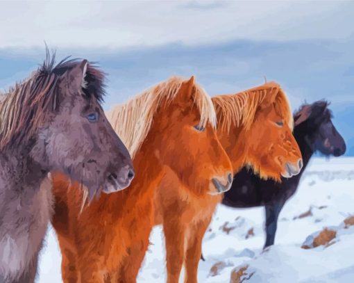 Icelandic Horses Paint By Numbers