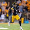 Iowa Hawkeyes Player Paint By Numbers