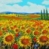 Italy Sunflowers Field Art Paint By Numbers