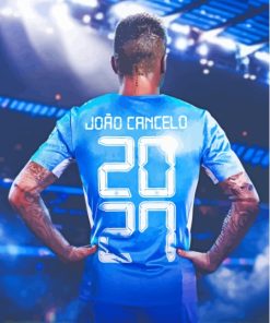 Joao Cancelo Player Back Art Paint By Numbers