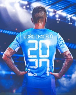 Joao Cancelo Player Back Art Paint By Numbers