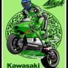 Kawasaki Ninja Illustration Poster Paint By Numbers