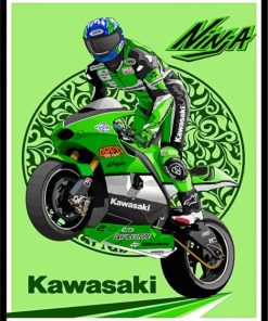 Kawasaki Ninja Illustration Poster Paint By Numbers