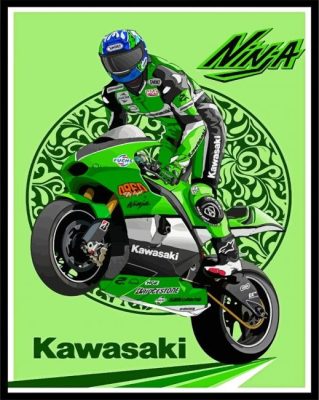 Kawasaki Ninja Illustration Poster Paint By Numbers