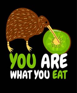 Kiwi Bird You Are What You Eat Paint By Numbers