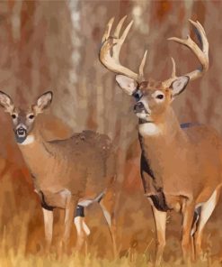 Large Buck And Doe Paint By Numbers