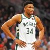 Milwaukee Bucks Team Player Paint By Numbers