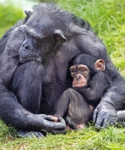 Mom Chimpanzee With Her Baby Paint By Numbers