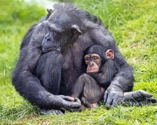 Mom Chimpanzee With Her Baby Paint By Numbers