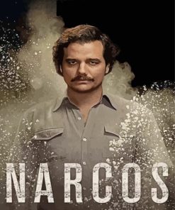 Narcos Pablo Escobar Paint By Numbers