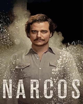 Narcos Pablo Escobar Paint By Numbers