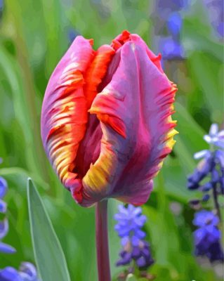 Parrot Tulips Paint By Numbers