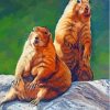 Prairie Dogs Art Paint By Numbers