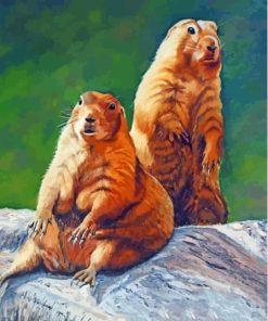 Prairie Dogs Art Paint By Numbers