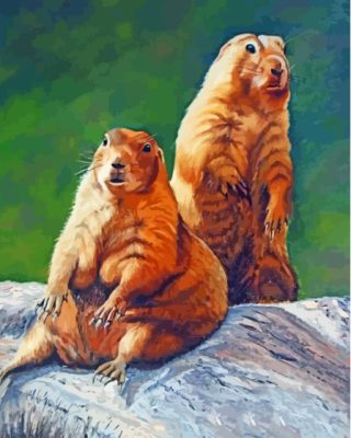 Prairie Dogs Art Paint By Numbers