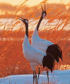 Red Crowned Cranes Birds Paint By Numbers