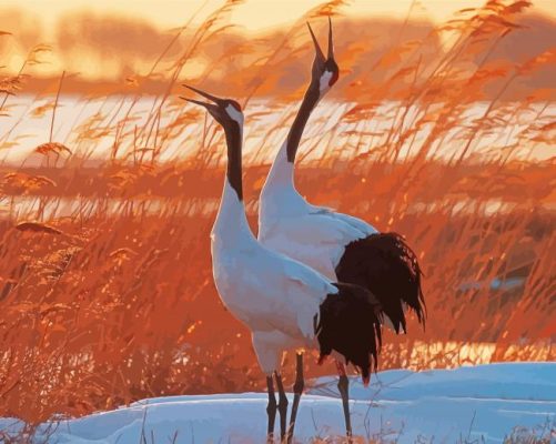 Red Crowned Cranes Birds Paint By Numbers