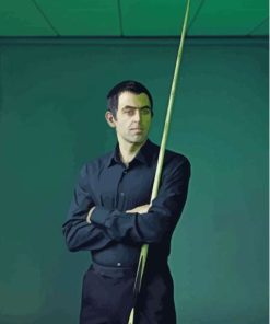 Ronnie Osullivan Paint By Numbers