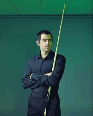 Ronnie Osullivan Paint By Numbers