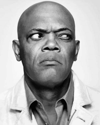 Samuel L Jackson Confused Paint By Numbers