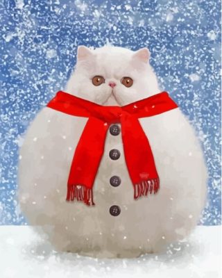 Snowman Cat With Scarf Paint By Numbers