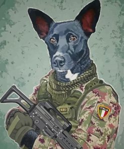 Soldier Army Dog Paint By Numbers