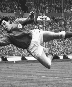 The Football Goalkeeper Gordon Banks Paint By Numbers