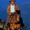 The Man From Snowy River Character Paint By Numbers