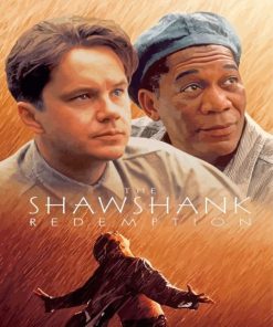 The Shawshank Redemption Poster Paint By Numbers