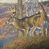 The Whitetail Buck And Doe Paint By Numbers