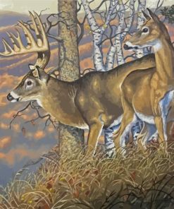 The Whitetail Buck And Doe Paint By Numbers