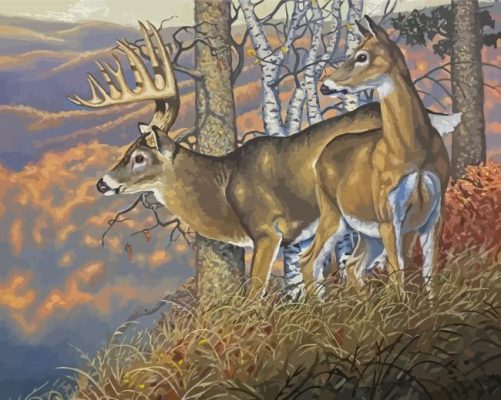 The Whitetail Buck And Doe Paint By Numbers