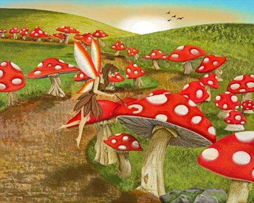 Toadstool Fairy Paint By Numbers